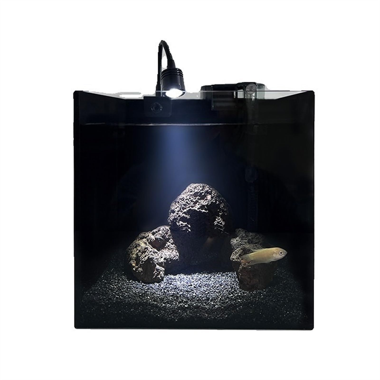 Acquario Acquario in Vetro Quadrato neroPiccolo Acquario da Tavolo in Vetro monoblocco con Accessori Acquario per Pesci