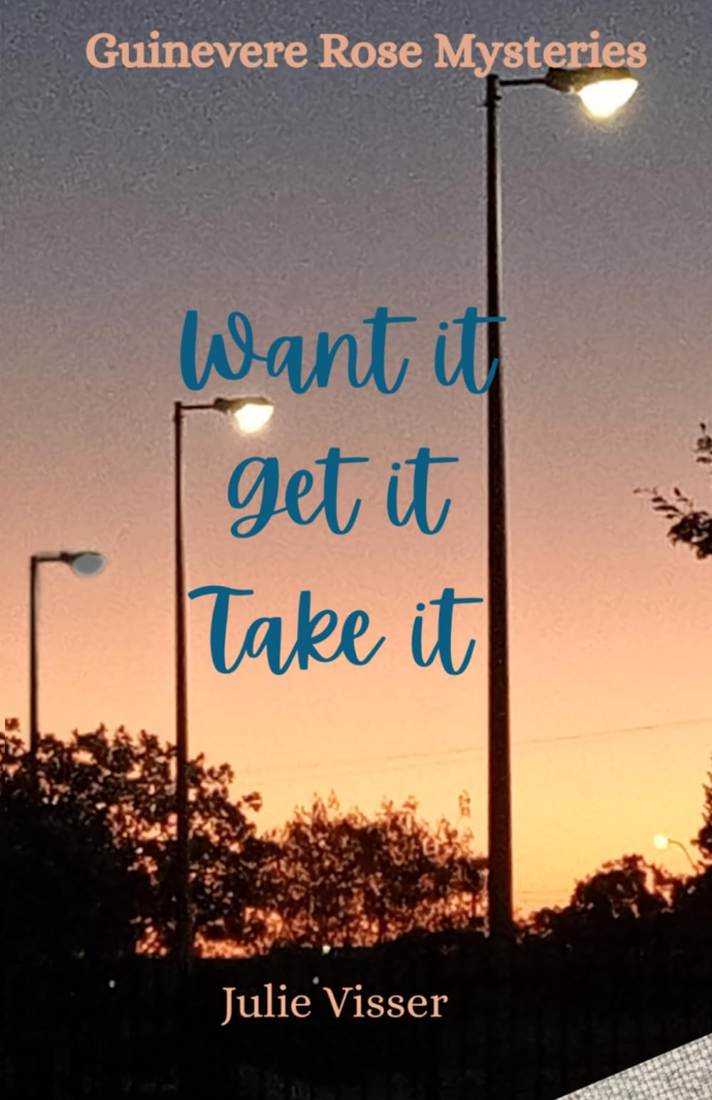 Want it, Get it, Take it. (Guinevere Rose Mysteries)