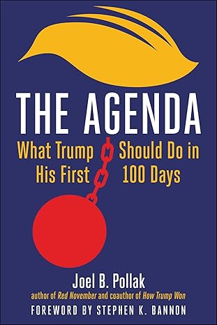 The Agenda: What Trump Should Do in His First 100 Days-Wow! eBook