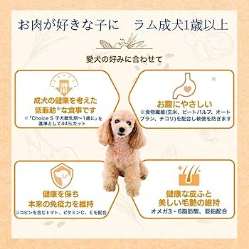 Amazon.co.jp: ファーストチョイス ChoiceS（チョイスエス