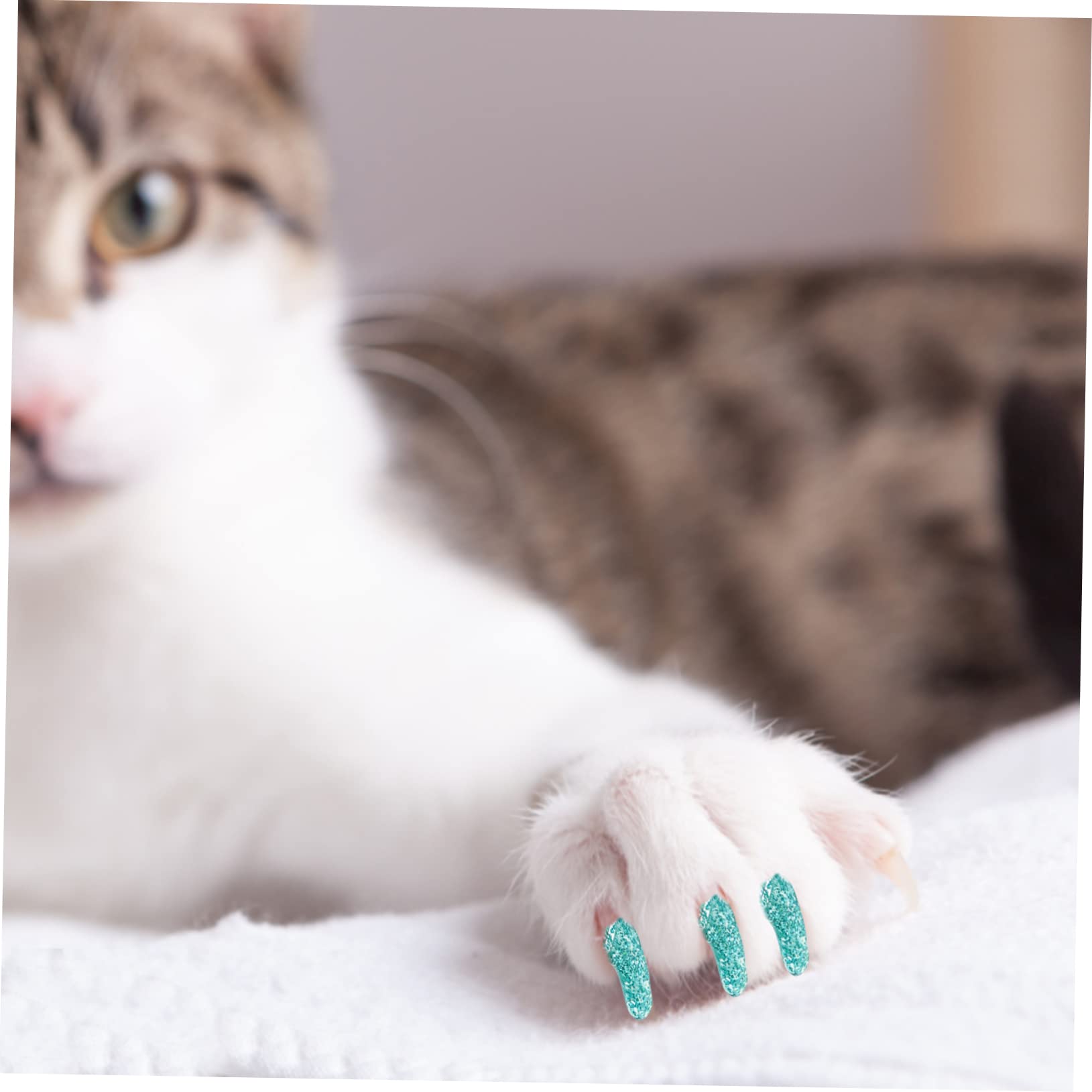 Mipcase 40sätze Pet Nail Covers Für Katzen Und Hunde Teiliges Aus Langlebigem Silikon Für Krallenschutz Und Möbelbewahrung Einfach Und Sicher Zu Tragen