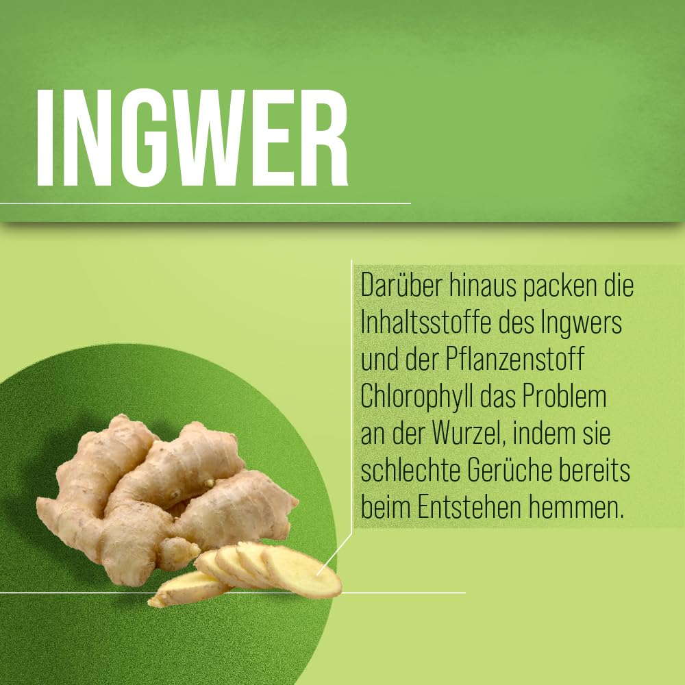 Sanct Bernhard Atemfrisch Deo-Kapseln mit Pfefferminzöl, Menthol & Chlorophyll - 170 Kapseln