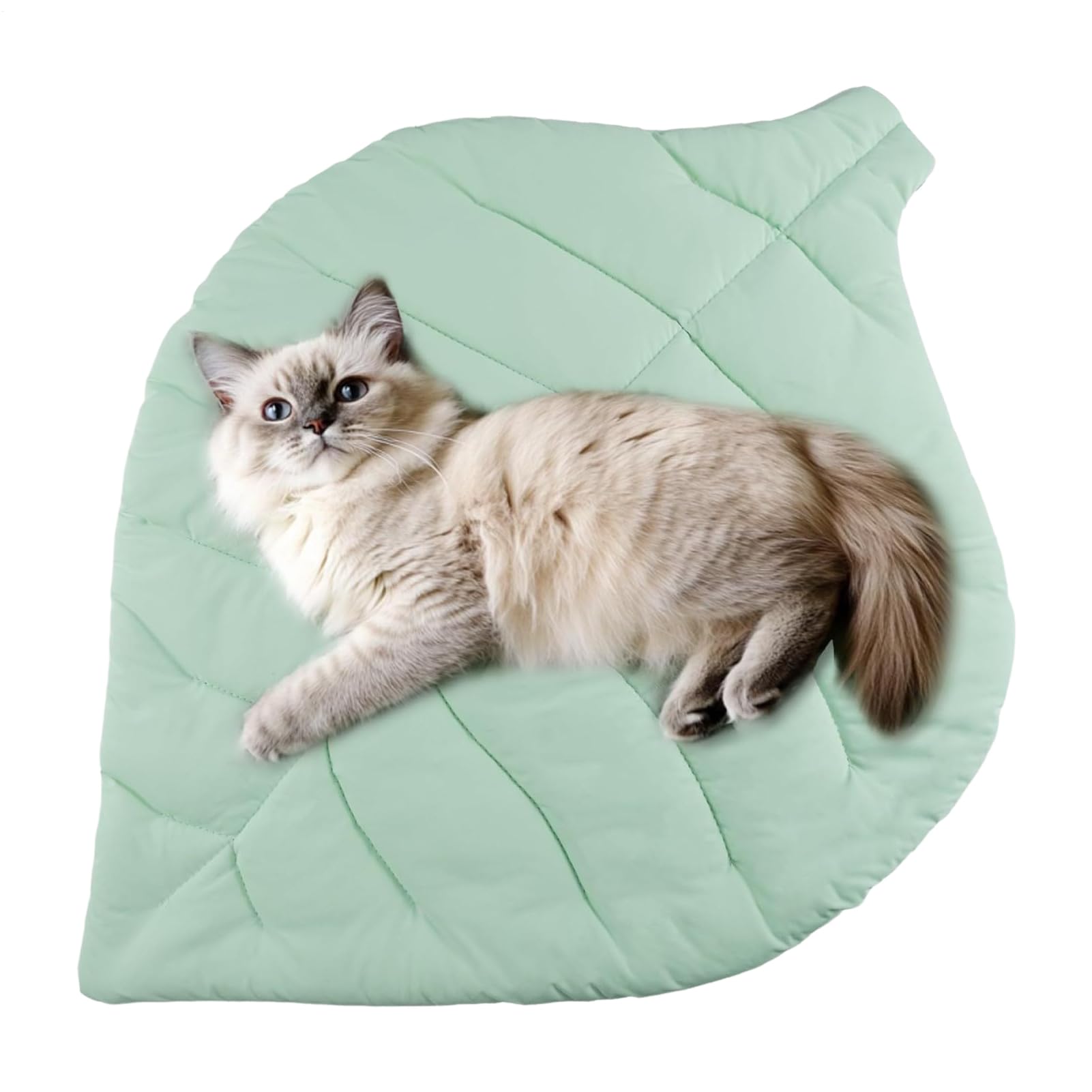 Tapis rafraîchissant pour chiens en voiture et intérieur - Coussin été pour cage