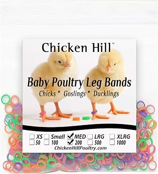 Baby Poultry Leg Bands 1/4" Medium Chick 200