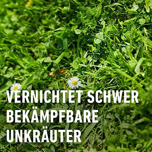 Foto von COMPO Rasen Unkrautvernichter Perfekt, Vernichtung von schwerbekämpfbaren Unkräutern, Konzentrat, 200 ml (200²)