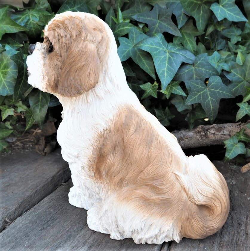 Amazon.co.jp : 犬の置物 シーズー T14057 いぬ イヌ 動物