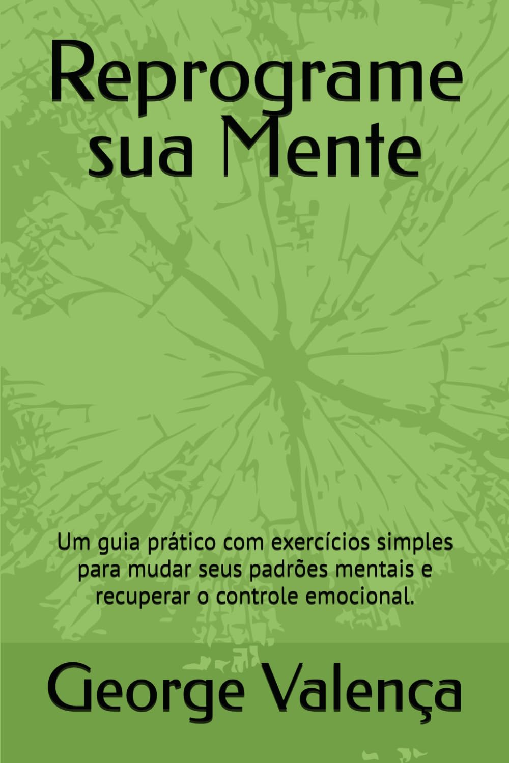 Reprograme sua Mente: Um guia prático com exercícios simples para mudar seus padrões mentais e recuperar o controle emocional.