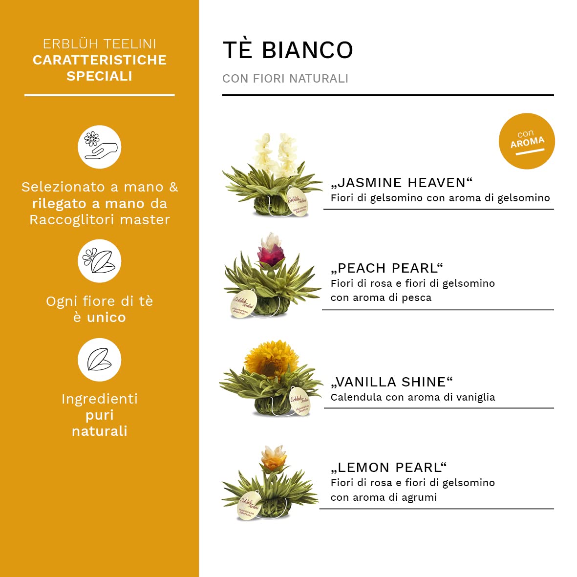 Creano Set Regalo Fiori di Tè Bianco "Tèlini" in Tazza – 12 Tè Fiorito in 4 Tipi Diversi in Elegante Scatola di Legno – Perfetto per Degustazione e Regalo Donna Uomo