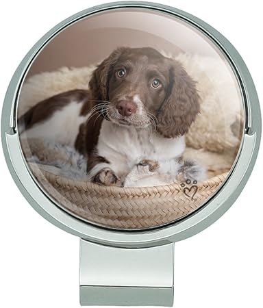 Review GRAPHICS & MORE Springer Spaniel Puppy Dog Basket Bed Golf Hat Clip with Magnetic Ball Marker