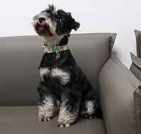 Vista 194 de DOGWONG Collar de perro de San Valentín, collar de perro con estampado de corazones para perros grandes, lindos collares de primavera, hembra