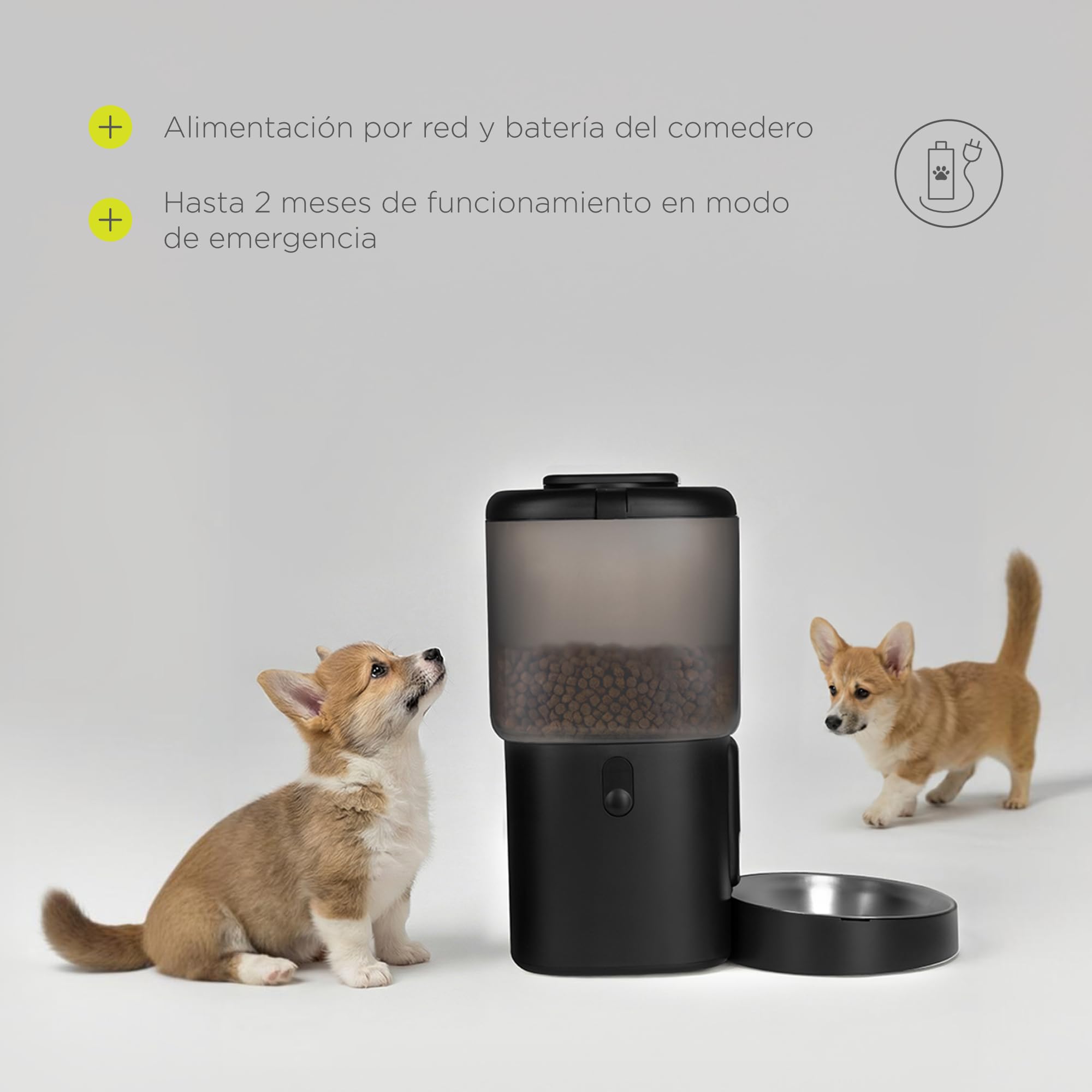 Feast Comedero Automático para Perros con Cámara 3MP y Visión Nocturna, Control por App Wi-Fi, Programable 5 Comidas, Depósito 4,5 l con Desecantes, Fuente de Agua con Filtro 2,5 l