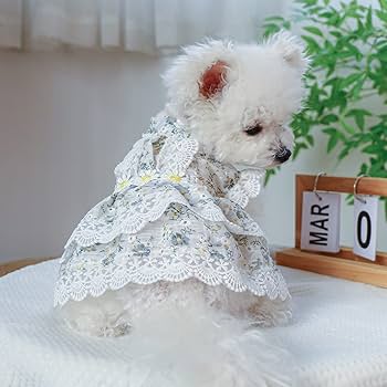 おまとめ専用ページ☆子犬わたあめ13㎝用☆お洋服G＋靴☆お洋服P＋靴 おまとめ専用ページ☆子犬わたあめ13㎝用☆お洋服G＋靴☆