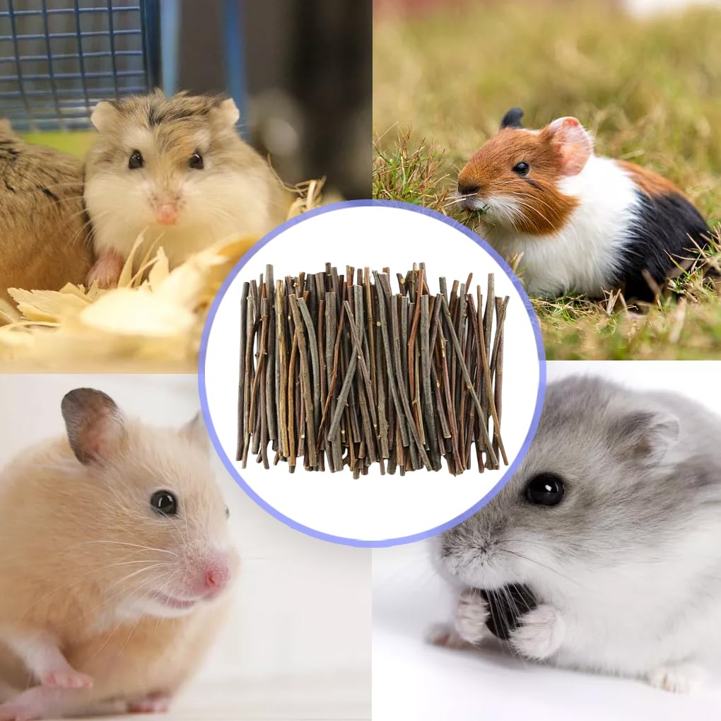 5er-Set tragbare Zahnungsholzstäbe für Nager, Tier-Beißring, Holzstab, sortiertes Set, Zahnschleifwerkzeug, Heimdekoration, Haustierbedarf, 60 Stück