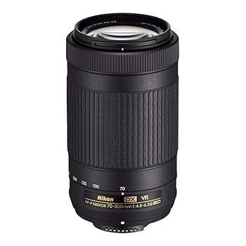 Amazon.com : Nikon AF-P DX NIKKOR 70-300mm f/4.5-6.3G ED VR
