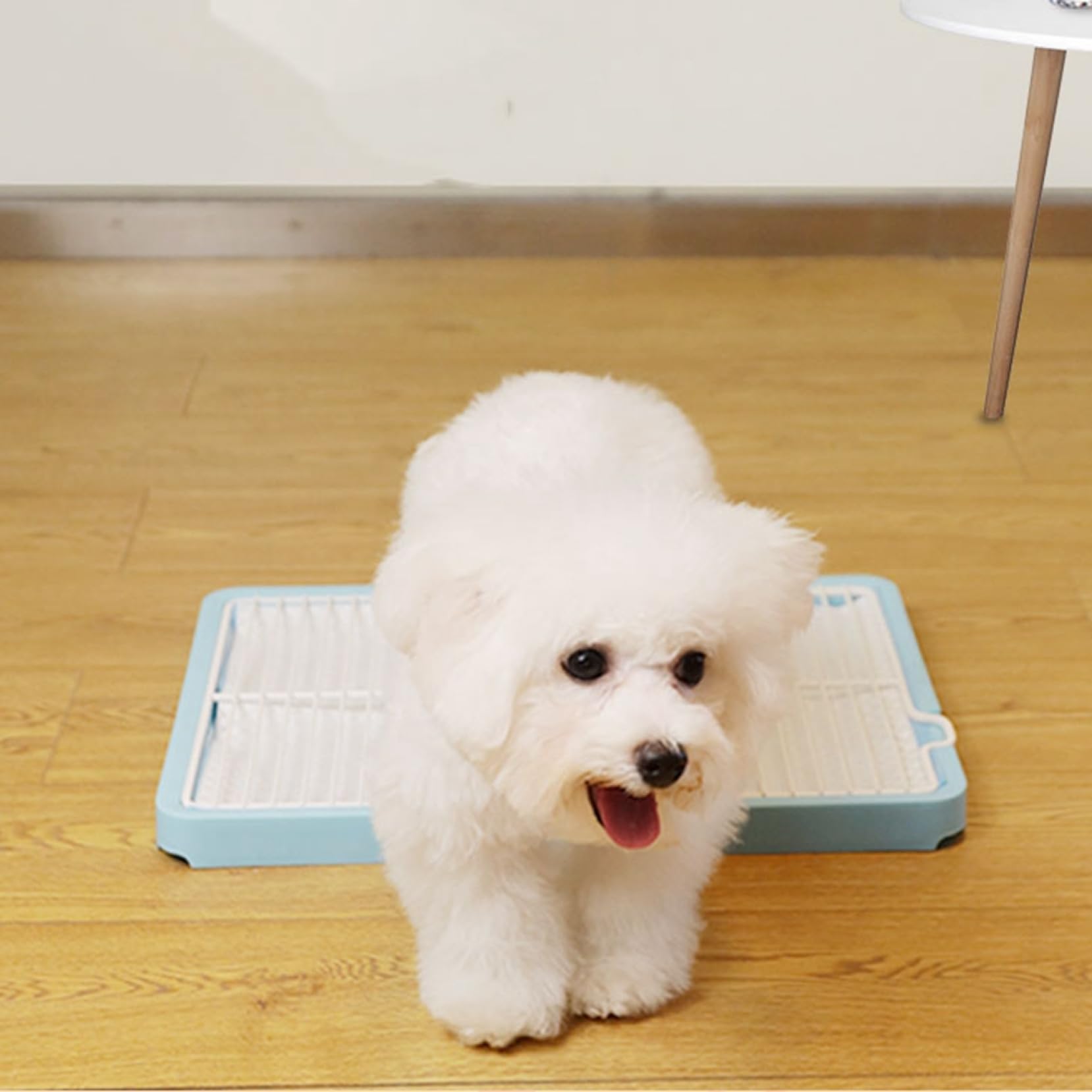 Amazon | 犬 トイレ 犬 トイレトレー ペット 犬用トイレ（42cm×86cm