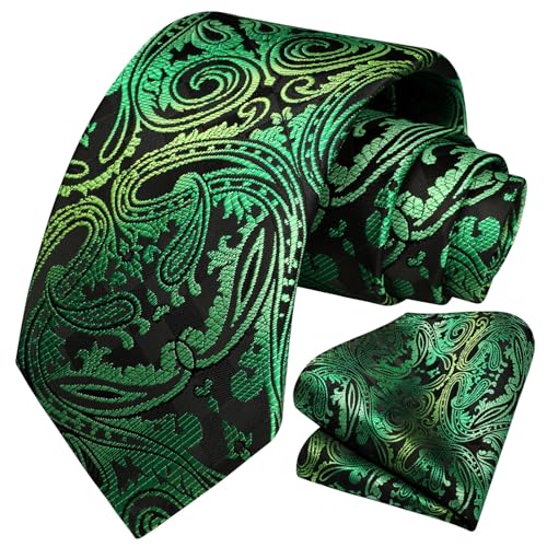 Image of HISDERN Ties for Men Paisley Tie and Pocket Square Woven Classic Floral Mens Ties Handkerchief Set Wedding Party Necktie