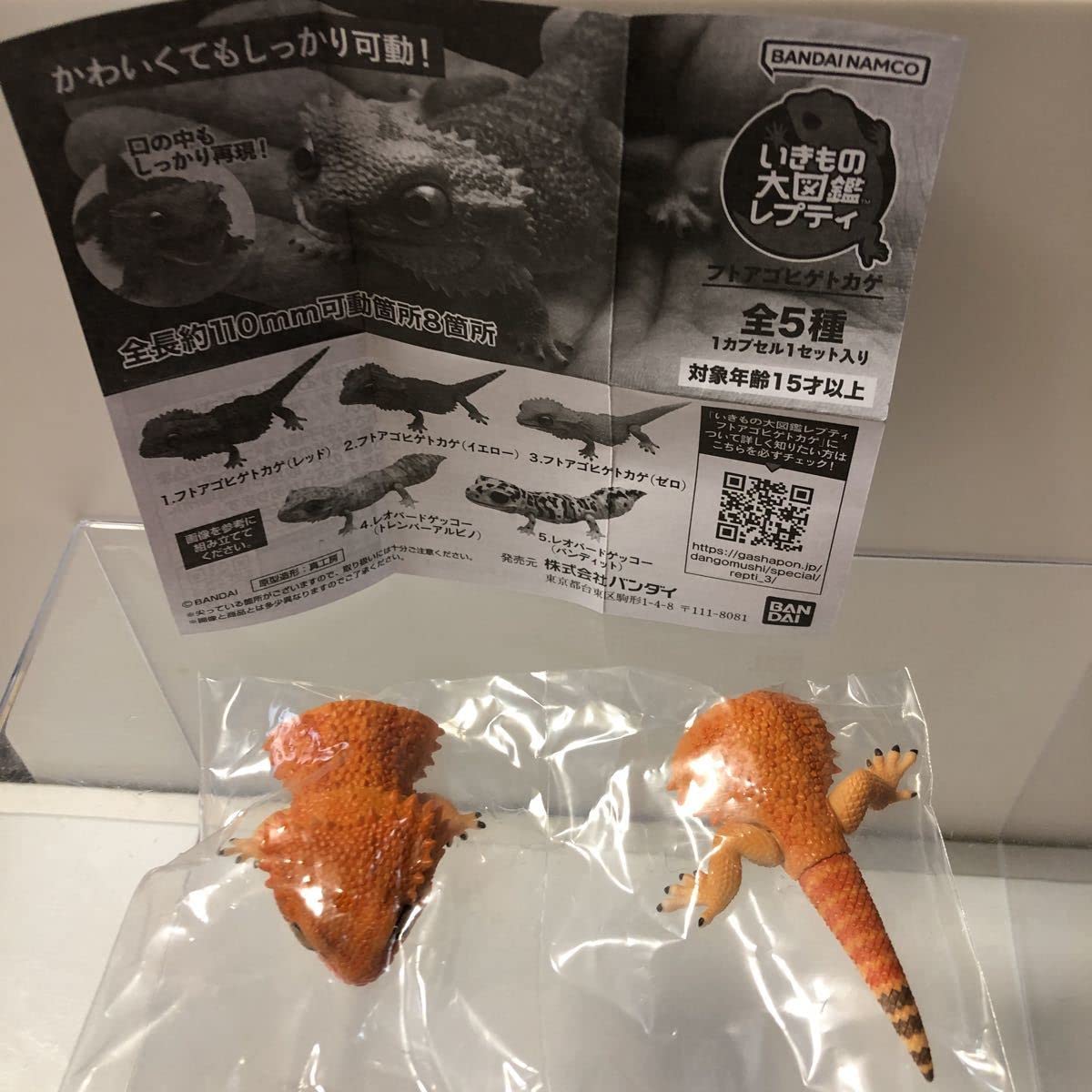 Amazon | いきもの大図鑑レプティフトアゴヒゲトカゲイエロー