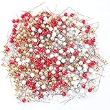 Zoom IMG-2 scalingscal bacche di agrifoglio natale Zoom IMG-2 scalingscal bacche di agrifoglio natale