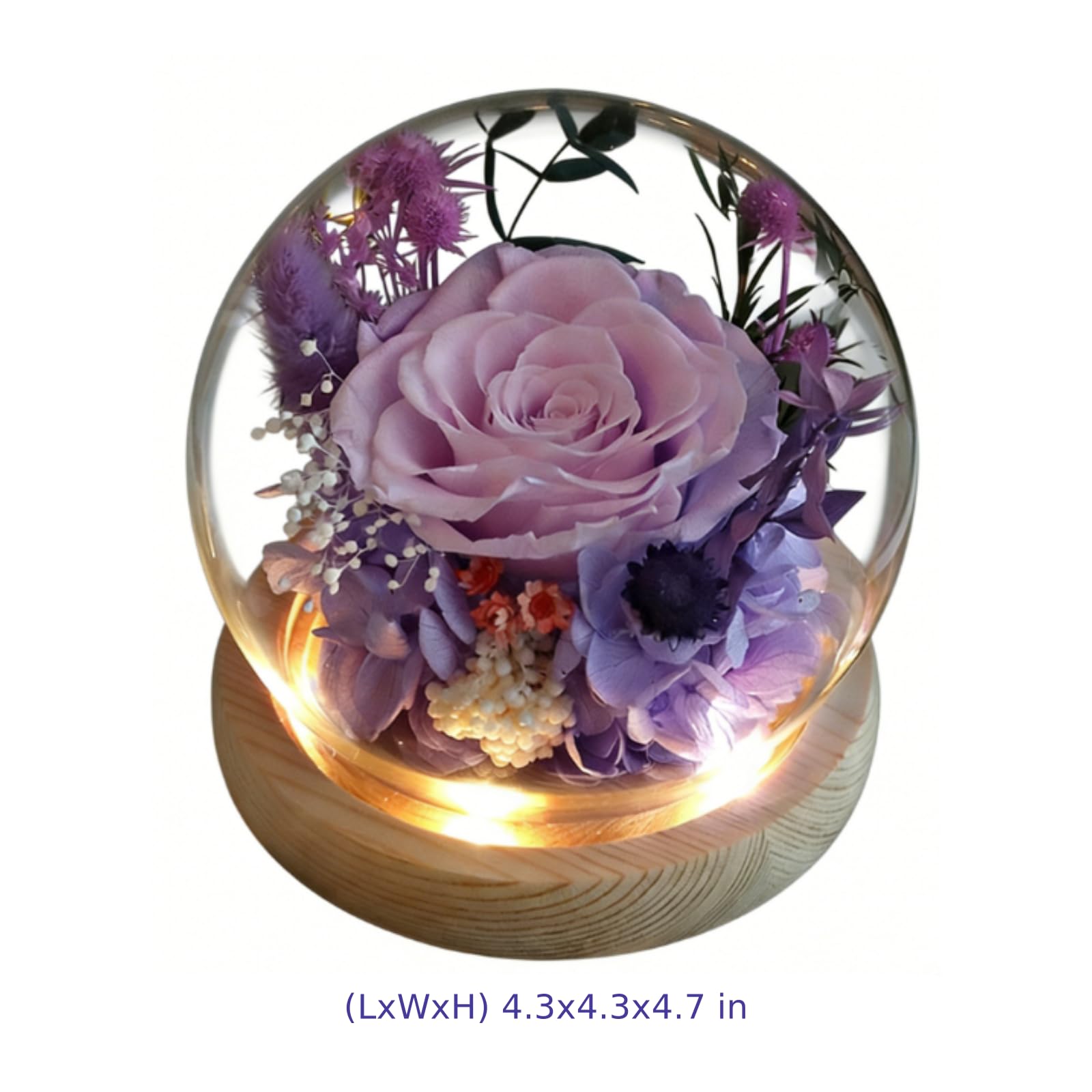 Zakonserwowana szklana kopuła kwiatowa, prawdziwy wieczny bukiet róż ze światłem LED, 10,9 x 10,9 cm kwiatowa dekoracja artystyczna, prezent dla dziewczyny, żony, córki, mamy, babci na urodziny