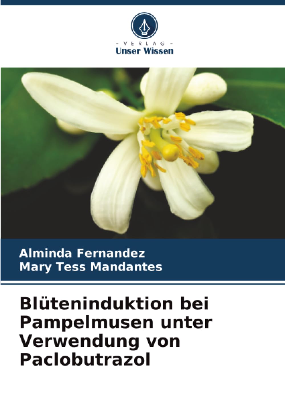 Blüteninduktion bei Pampelmusen unter Verwendung von Paclobutrazol