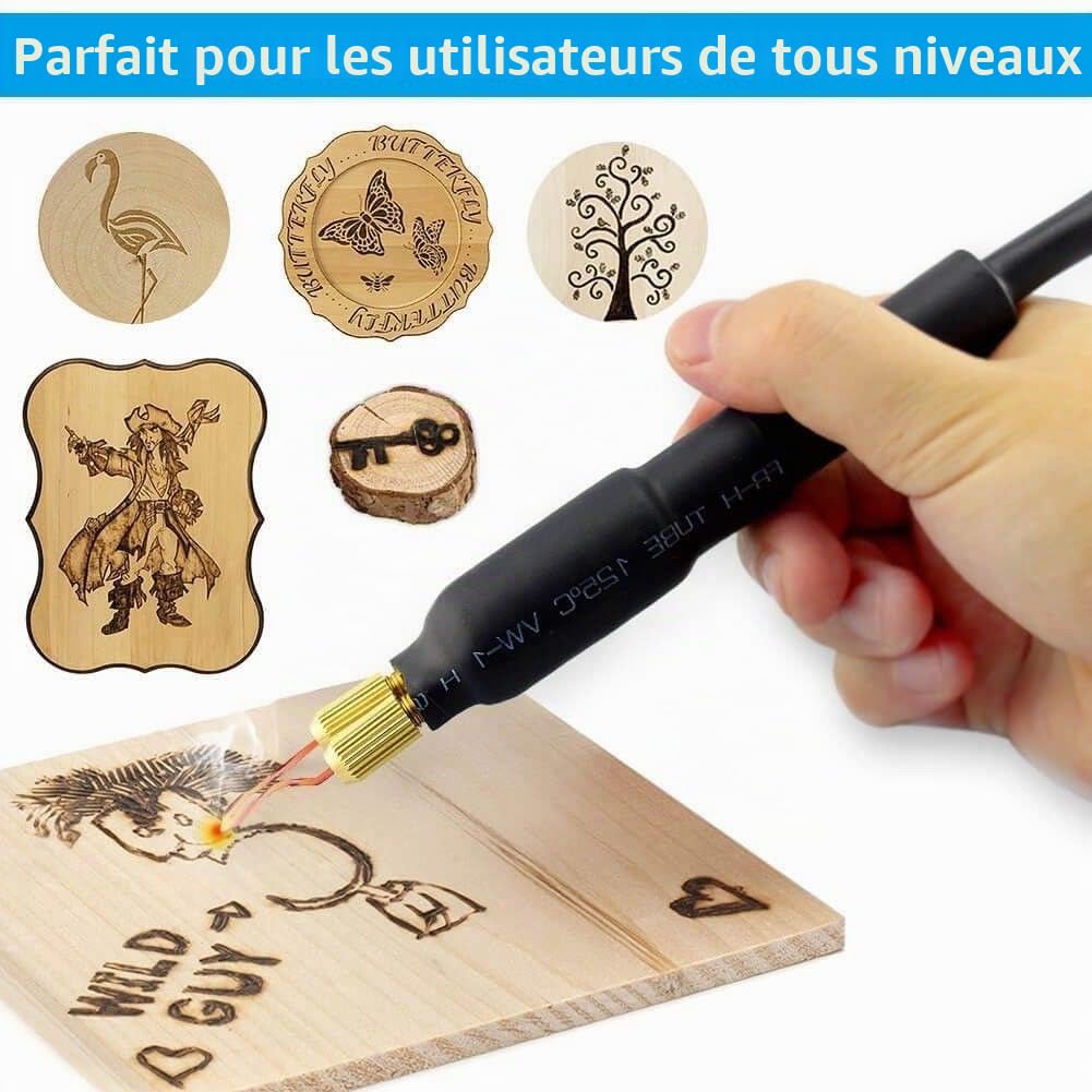 ele ELEOPTION Machine de pyrogravure 220V 60W multifonction pour artisanat de la gourde à bois (Stylo Double et Prise Double à Affichage Numérique)