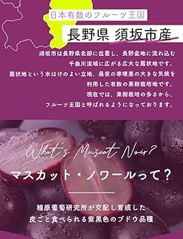 Amazon.co.jp: 高糖度20度前後 低農薬 マスカットノワール