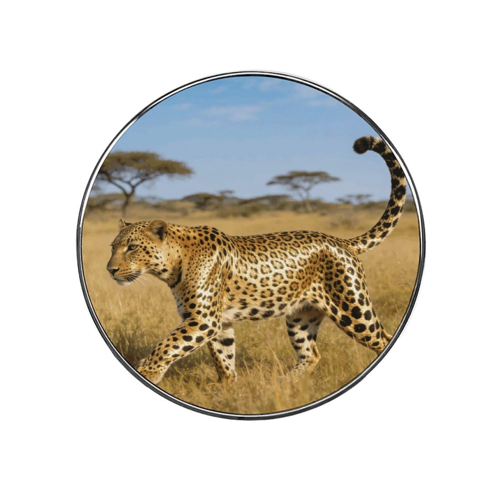 Solo Walk on The Grassland Refrigerator Magnet Fridge Sticker Cute Funny Fridge Magnet Strong Magnetic Sticker Fun Decorative Magnet for Whiteboard Work Home Kitchen Office Locker Decor