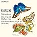 Respighi: Metamorphoseon