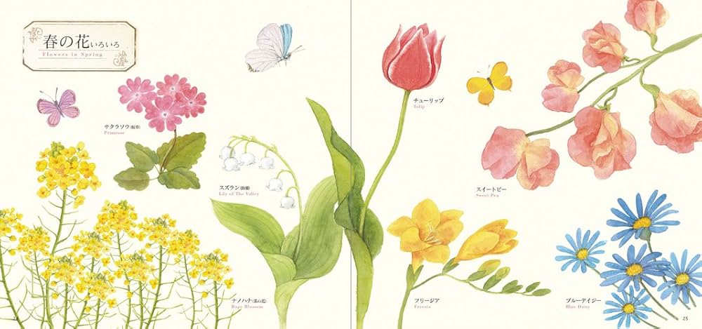 水彩画　花 はじめての水彩画 12か月の花スケッチ | 田代 知子 |本 | 通販