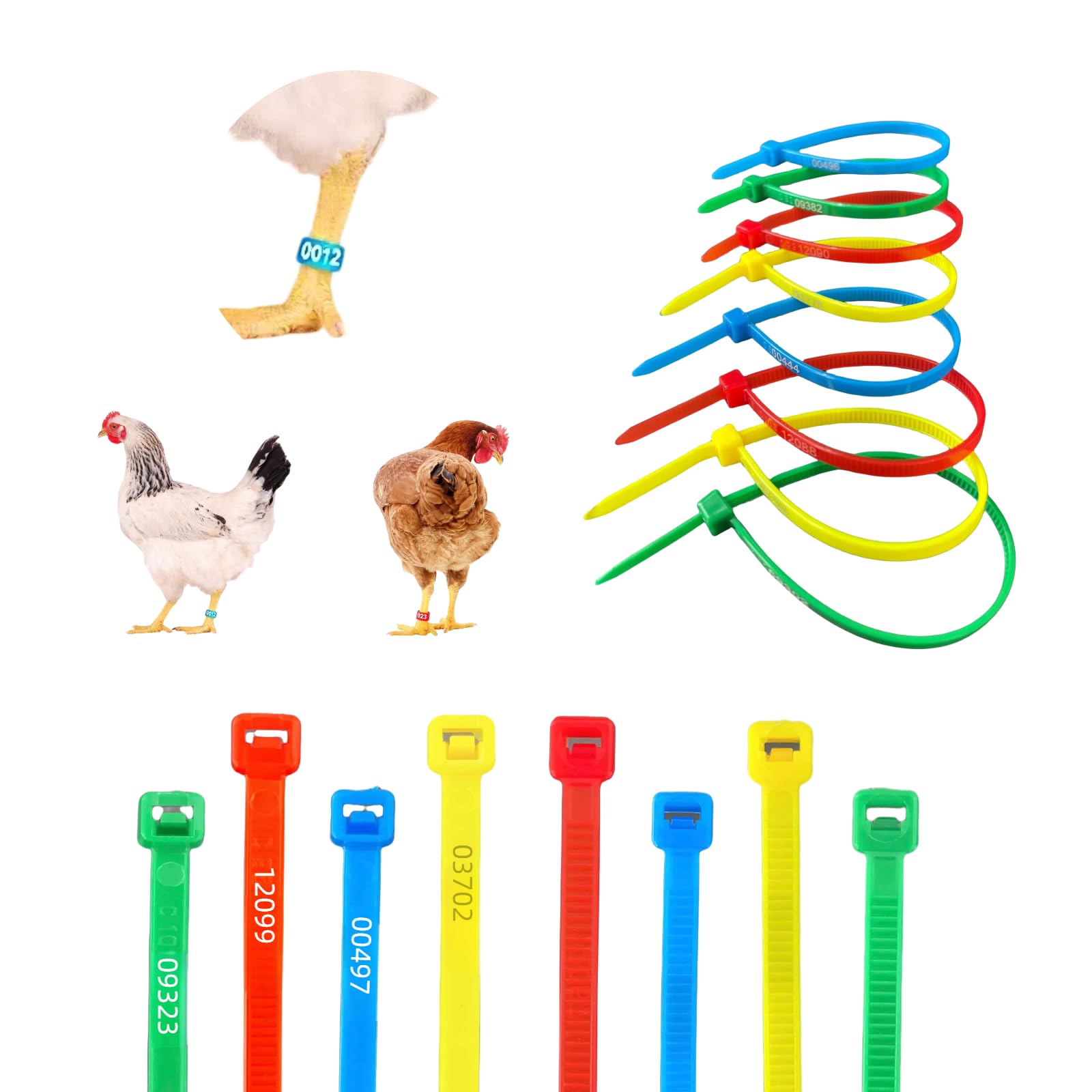 High - Quality 140Pcs Poultry Leg Bands Chicken Leg Bands: Laser - Engraved and Colorful, Ideal for Identifying Chickens, Ducks, and Geese