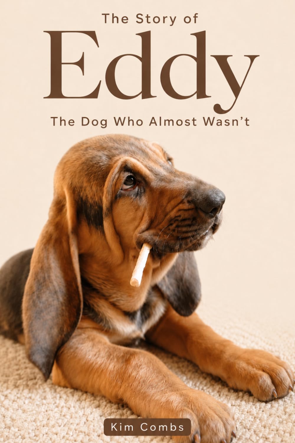 The Story of Eddy: The Dog Who Almost Wasn’t — A True Dog Rescue Story