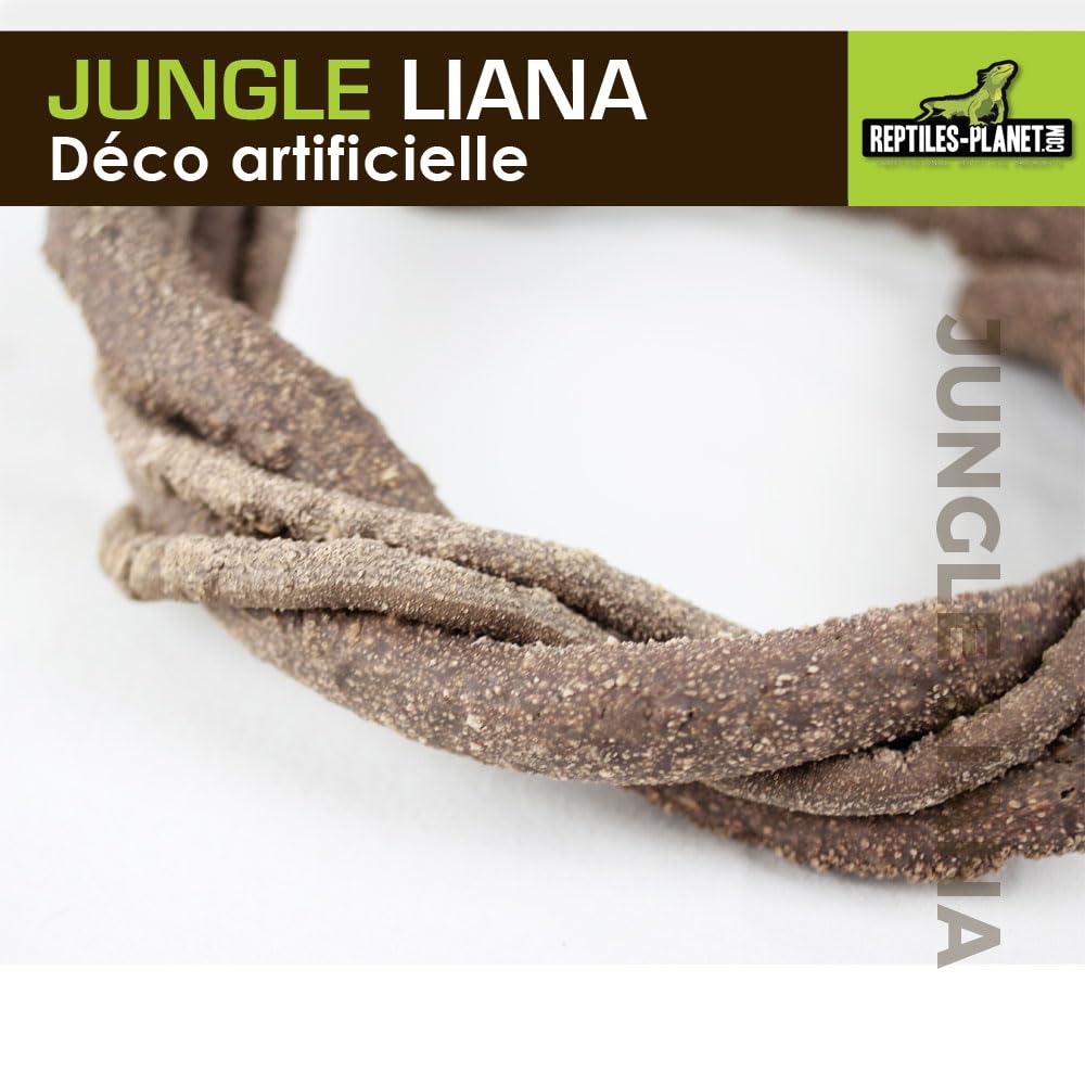 Reptiles Planet - Giungla Liana - Liana Artificiale - Decorazione per Terrario - 1 m