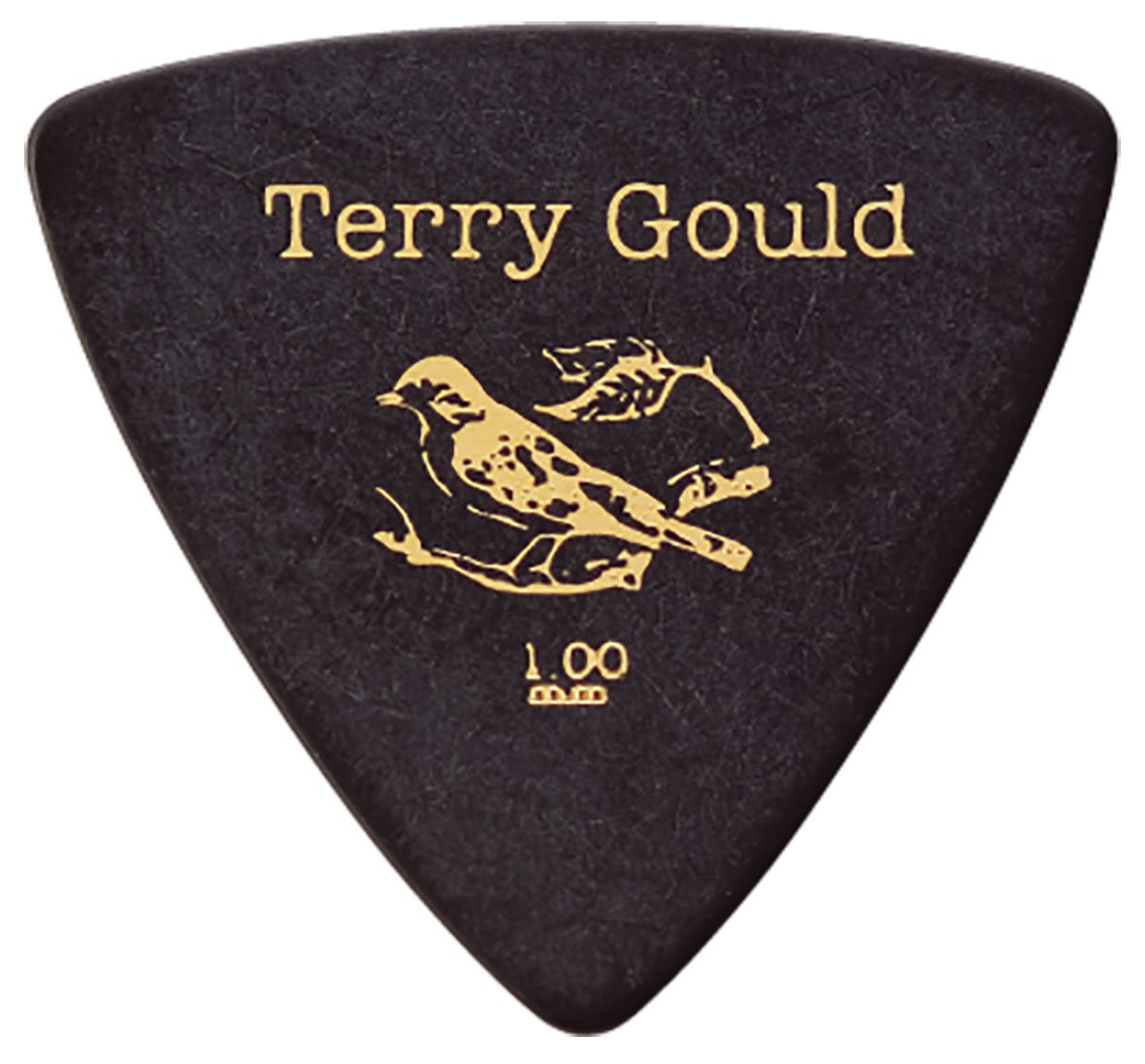 Queen クイーン ゴールド  ギターピック Amazon | PICKBOY テリーゴールド USパッケージ(10枚入り