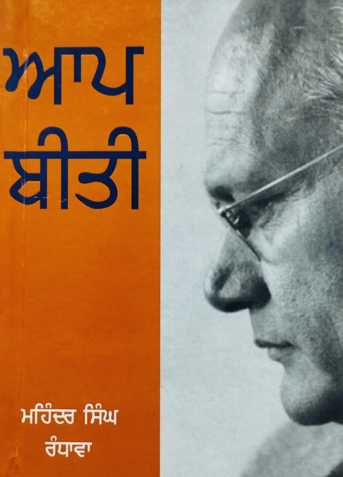 AAP BEETI [Hardcover] Mohinder Singh Randhawa