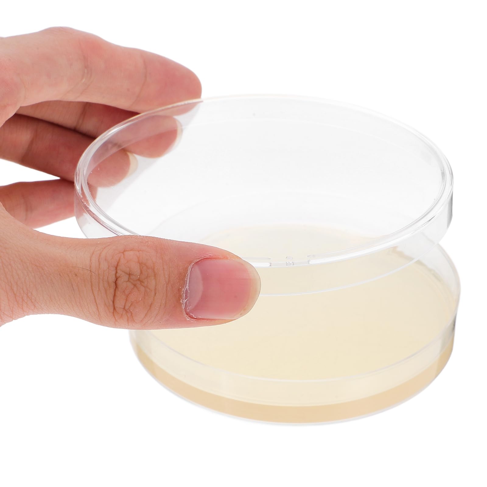 UKCOCO Placas De Agar Desechables Envasado Al Vacío 3.54X3.54X0.59In Medios De Cultivo Para Proyectos Científicos Y Laboratorios - 10 Unidades