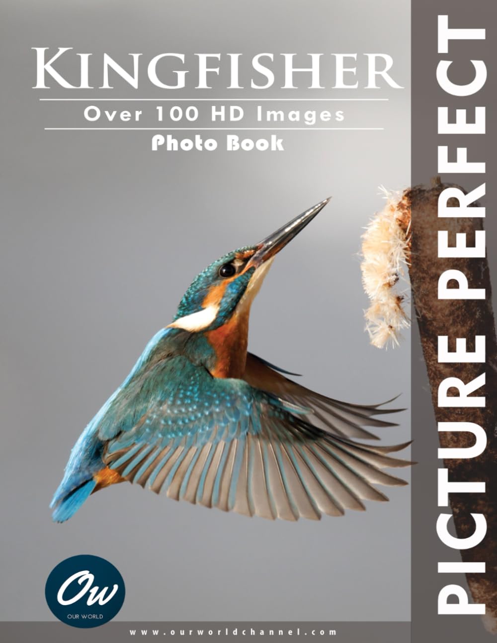 Kingfisher: Picture Perfect Photo Book: Over 100 HD Images