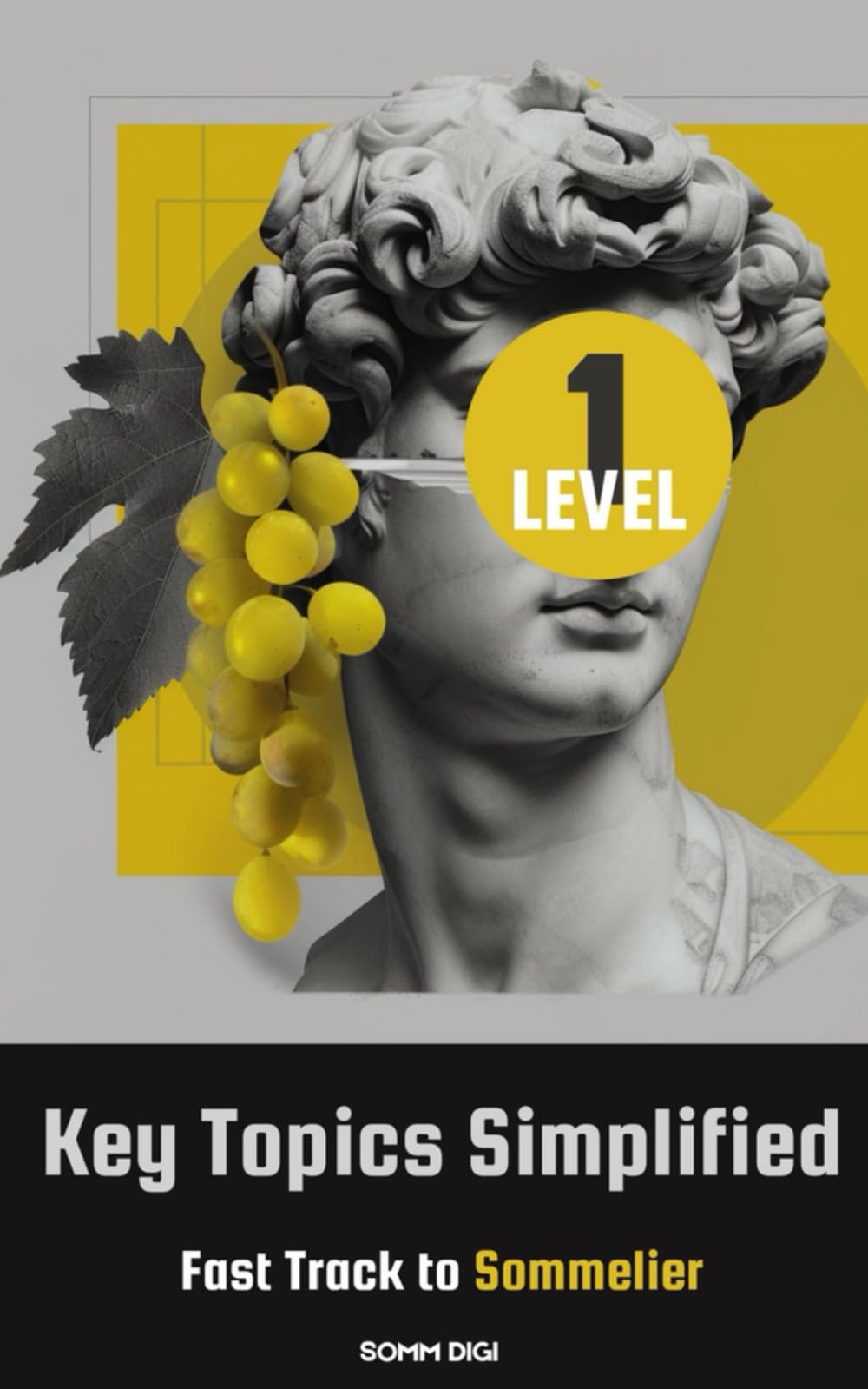 Sommelier Level 1 Prep Book: A Beginner’s Guide to Wine Knowledge and Exam Preparation: SOMM DIGI AI - AI-Generated Handbook for Aspiring Sommeliers
