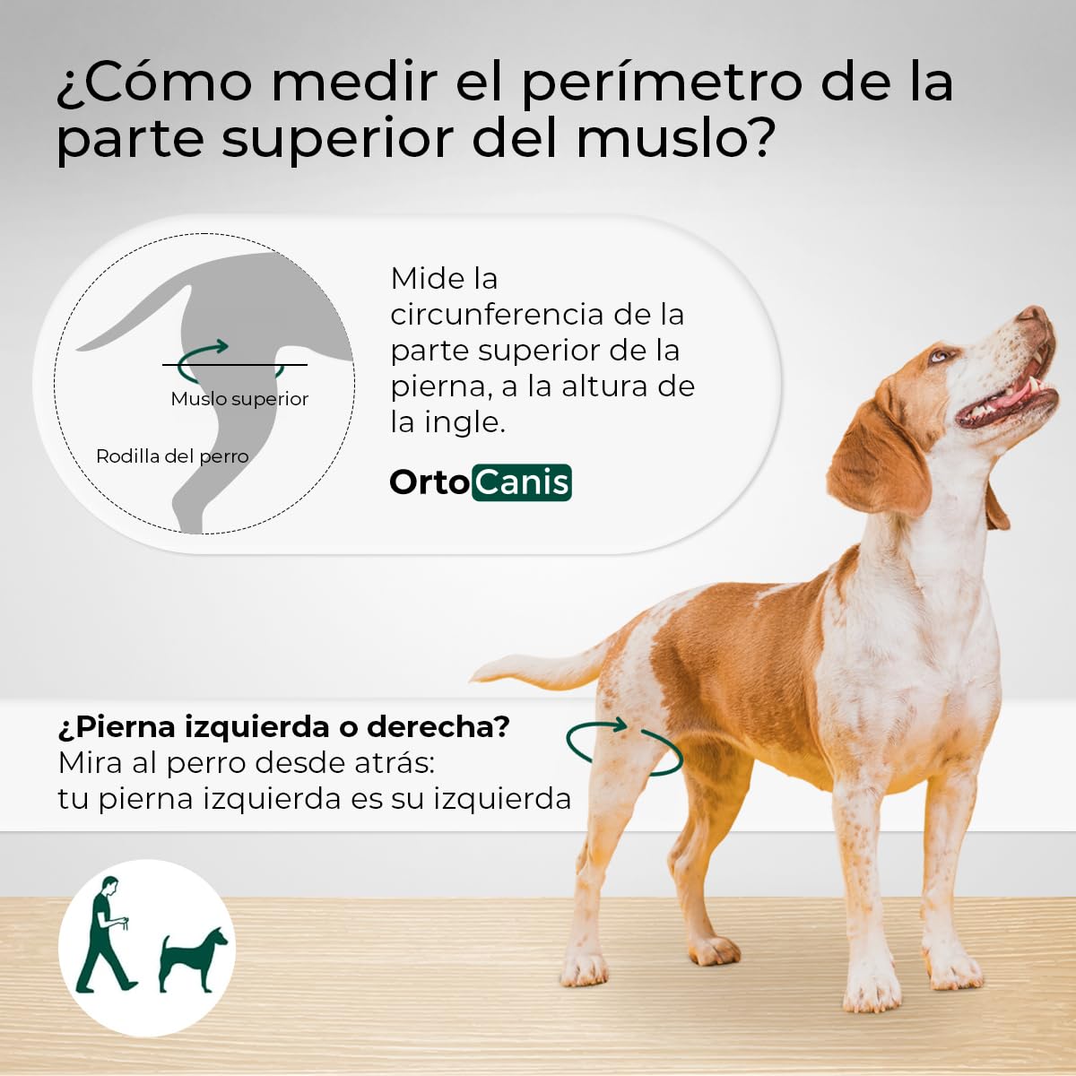 Ortocanis - Rodillera para Perro - Fabricada en Neopreno ARD - para Desgarros LAC, Lesiones de Ligamento, Luxación de Rótula u Osteoartritis - Size X-Small (22-24 cm) - Pierna Trasera Izquierda