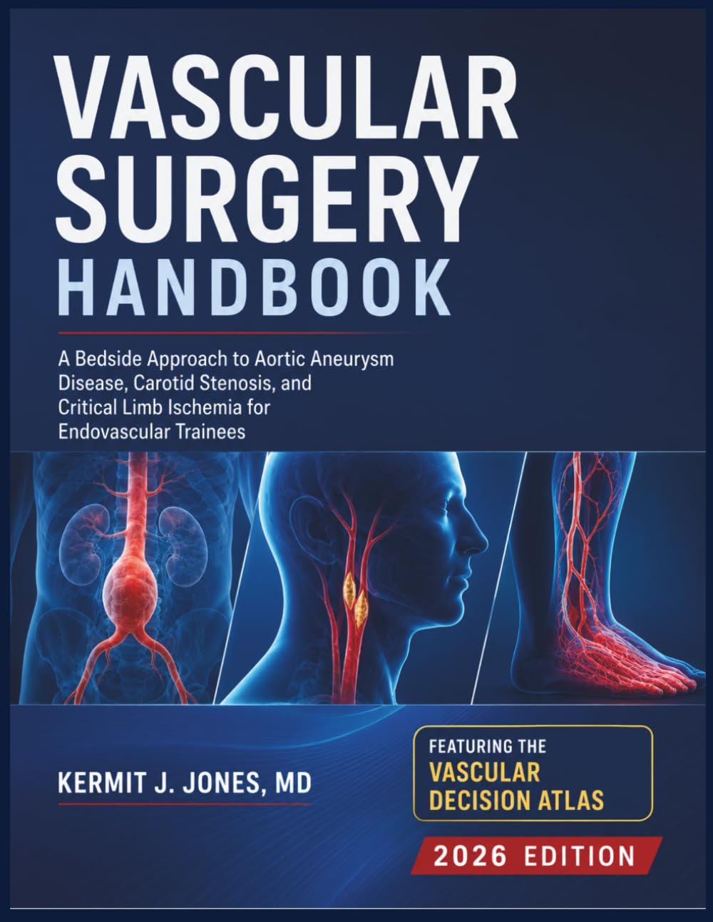 Vascular Surgery Handbook: A Bedside Approach to Aortic Aneurysm Disease, Carotid Stenosis, and Critical Limb Ischemia for Endovascular Trainees