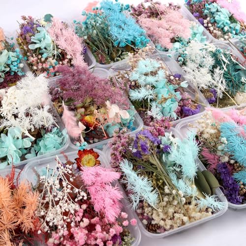 Flores secas surtidas para manualidades y decoración miniatura 5
