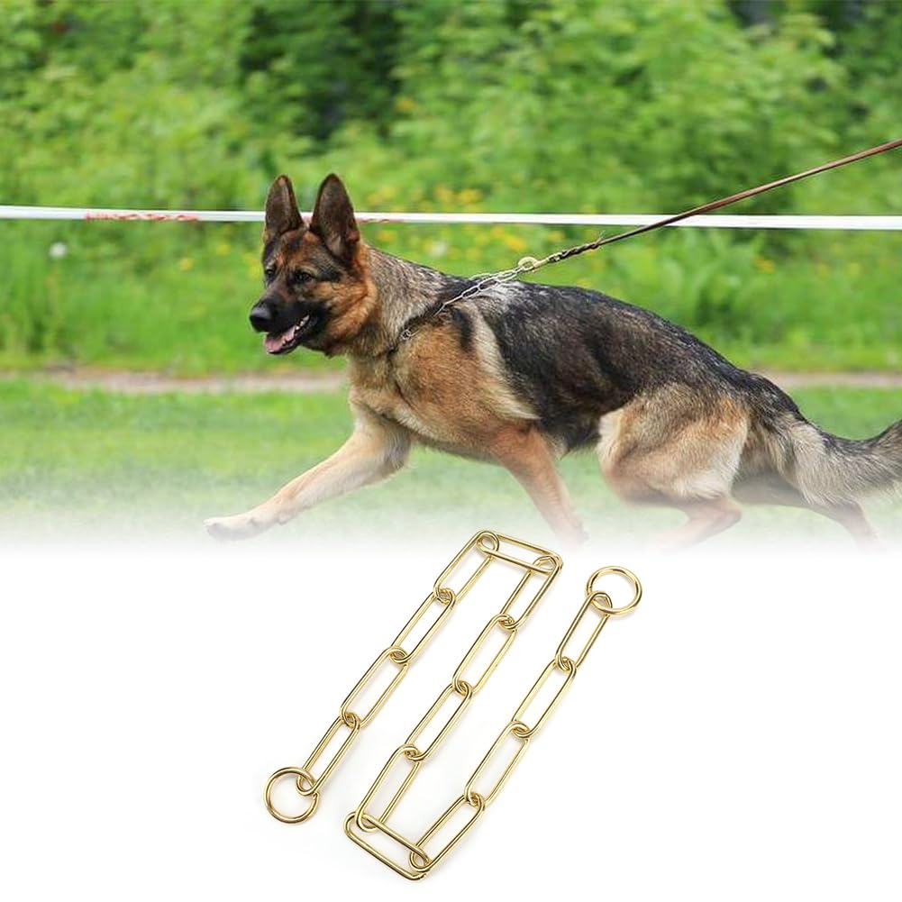 Joyzan Collier Chien Chaîne, Doré Chaîne Maillon Métallique Robuste Chiot Petit Moyen Grand Résistant Métal Mâcher Fermoir Connexion Or Mastication Laisse Entraînement Grosse Maille étrangleur Chaine