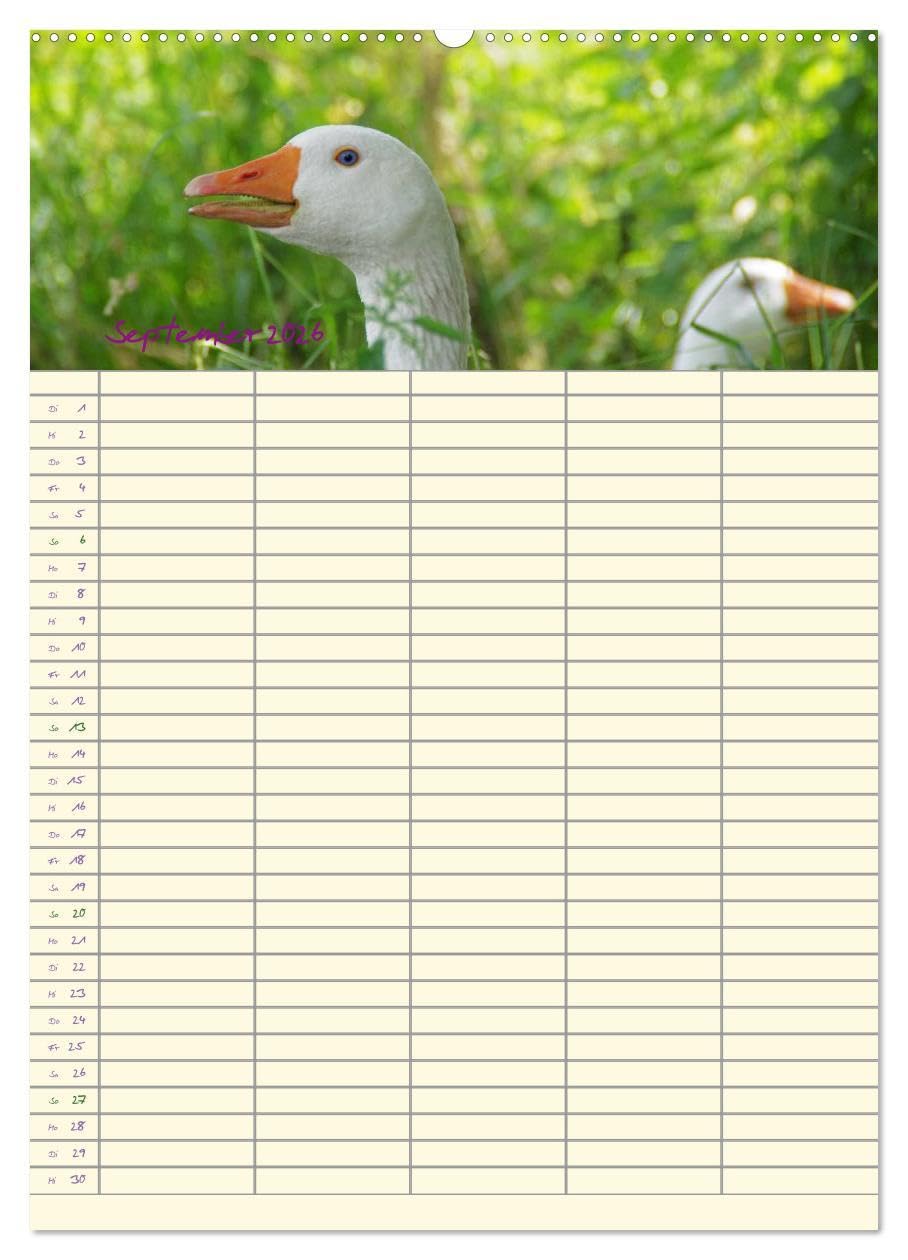 Der Naturgarten Familienplaner (hochwertiger Premium Wandkalender 2026 DIN A2 hoch), Kunstdruck in Hochglanz: Dieser Familenplaner bietet die ... durch das ganze Jahr. (CALVENDO Natur)