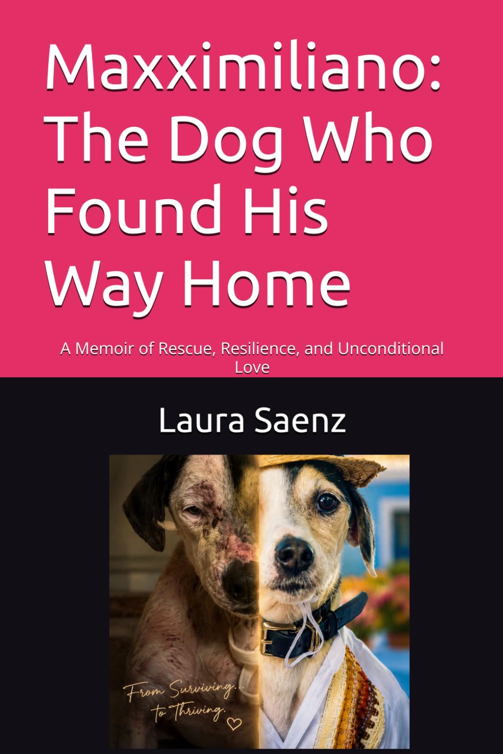 Maxximiliano: The Dog Who Found His Way Home: A Memoir of Rescue, Resilience, and Unconditional Love
