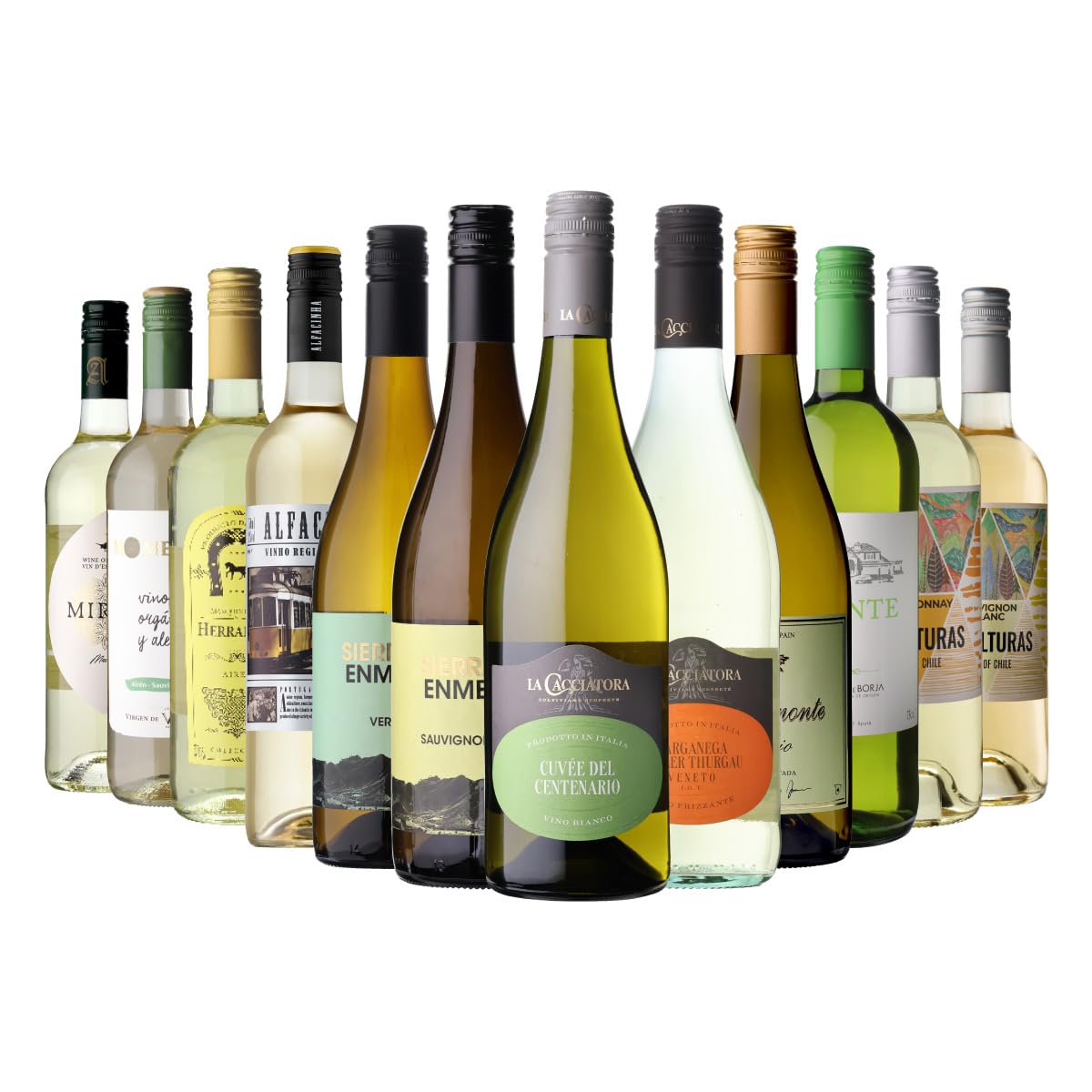 Amazon.co.jp: 白だけ特選ワイン12本セット : 食品・飲料・お酒