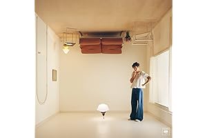 Harry Styles Satellite