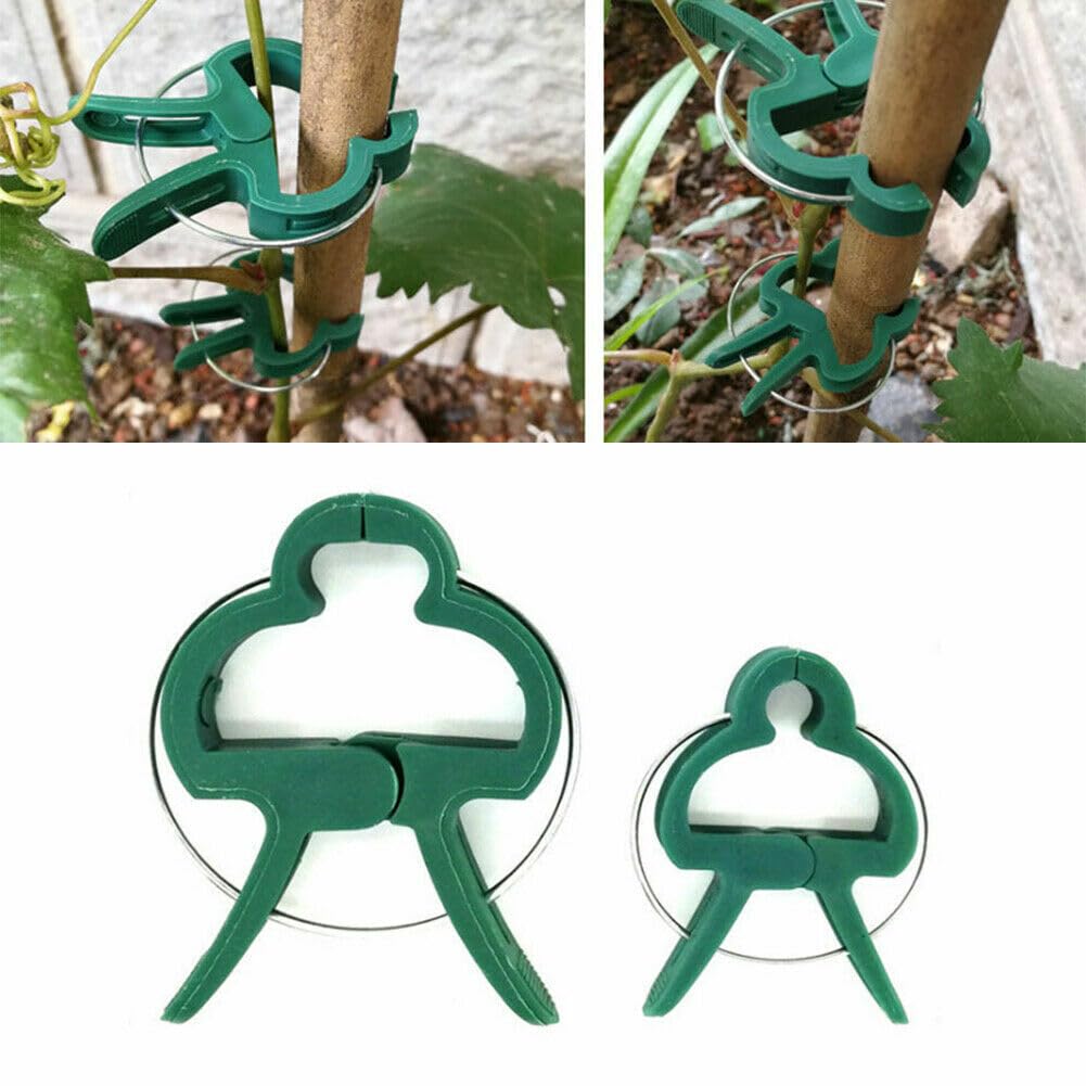 CELLEBII® 20 Pcs SMALL & 20 Pcs BIG Plant Clips, Reusable Garden Plant Support Clips, Vines Flower Clamps Rings For Greenhouse Gardening Supporting Stems. (GREEN) 40PCS (B0CB1SGRCC) Amazon Price History, Amazon Price Tracker