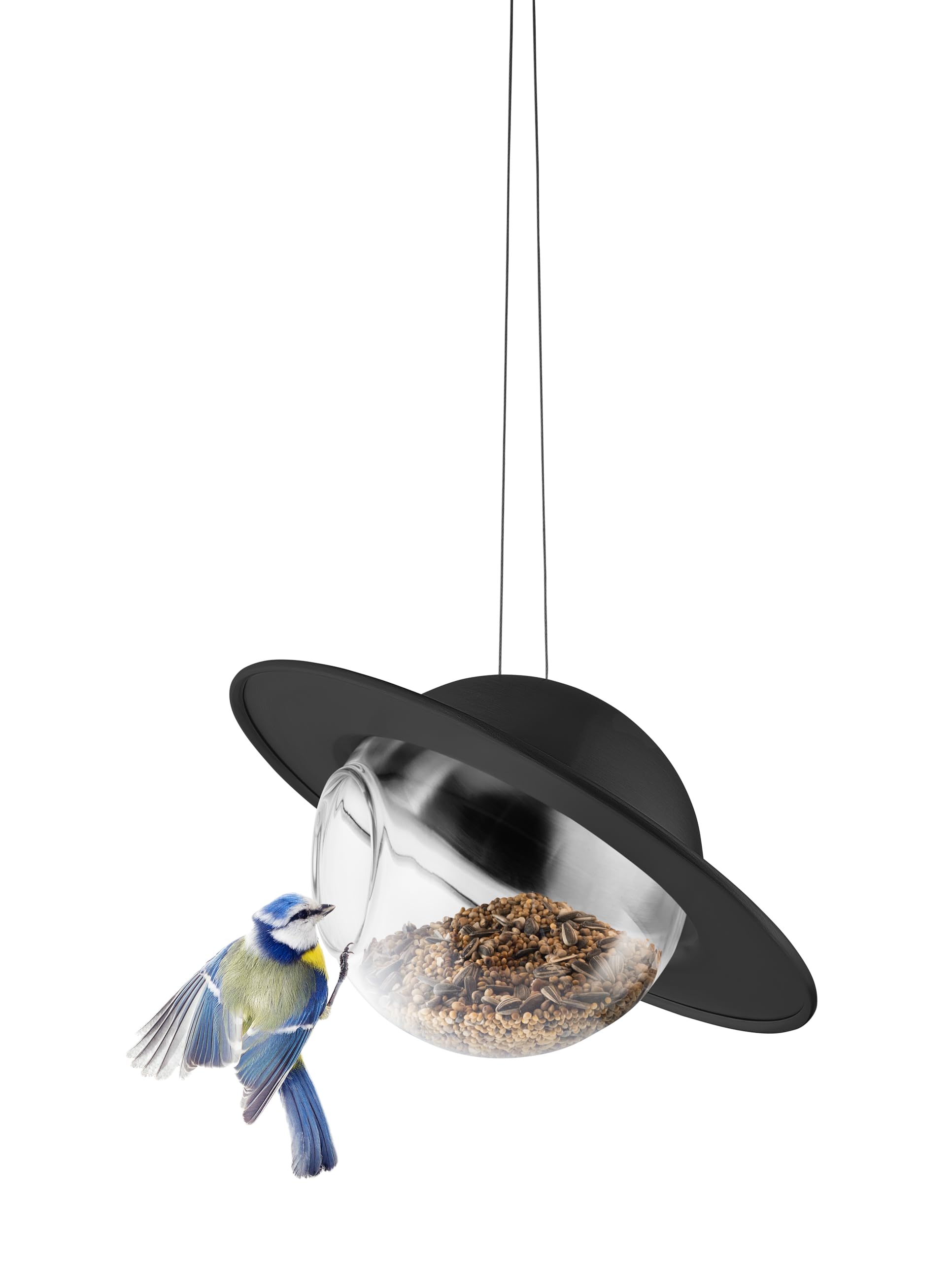 EVA SOLO | Mangiatoia per uccelli Saturn nera | Mangiatoia con sfera di vetro trasparente e tetto protettivo | Goditi gli uccelli da giardino tutto l'anno | Resistente a tutte le stagioni e a bassa