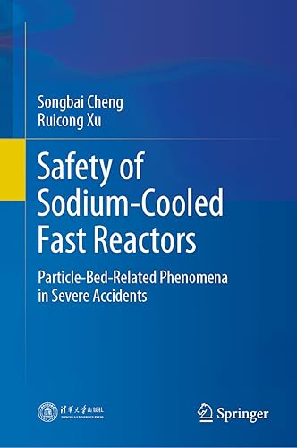 Safety of Sodium-Cooled Fast Reactors: Particle-Bed-Related Phenomena in Severe Accidents