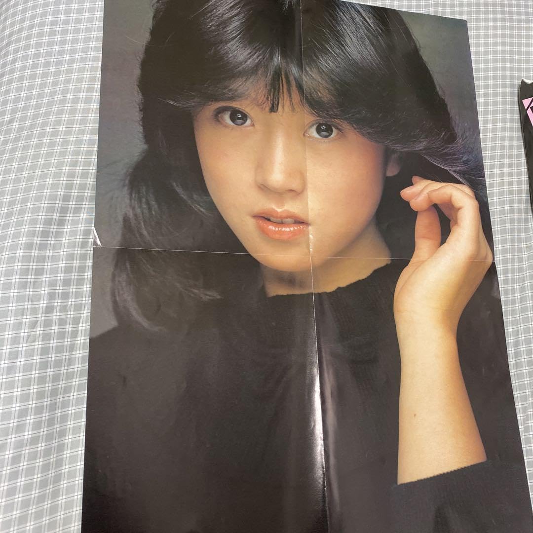 中森明菜　1982年〜1986年 大量　切り抜き　ファイル　2冊 120P 中森明菜 1982年〜1989年 大量 切り抜き ファイル 2冊 120P 1982