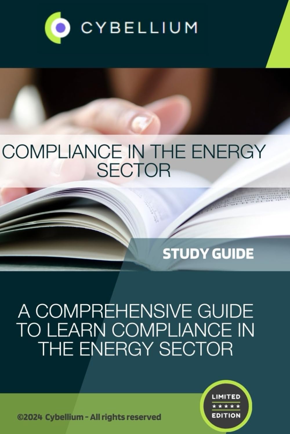 Compliance in the Energy Sector